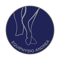 Logo equiphysio andrea